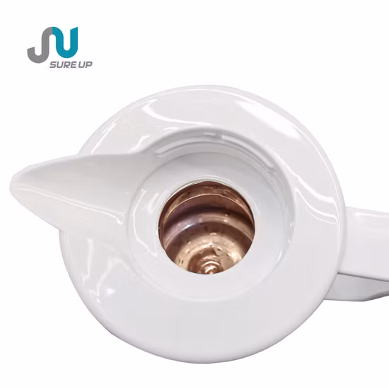 가족 사용을 위한 진공 주전자 개인화 된 플라스틱 유리 라이너 커피 포트